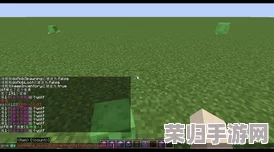 探索Minecraft世界：全面解析光明方块指令的创意应用与效果展现