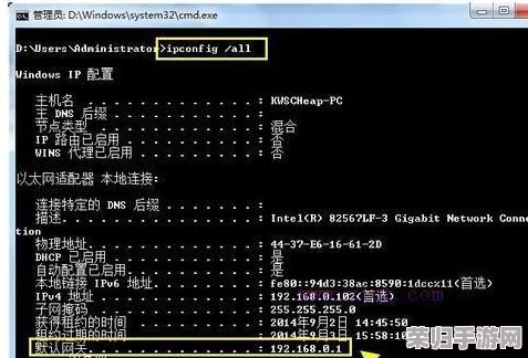 miya188.mon／192.168.0.1：如何快速解决路由器连接问题，提升网络速度与稳定性