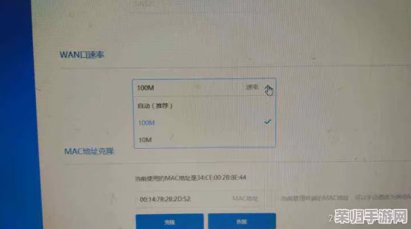 miya188.mon／192.168.0.1：如何快速解决路由器连接问题，提升网络速度与稳定性