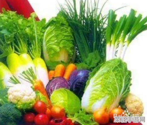 拨萝卜不盖被子吗？揭秘秋冬季节的生活小常识与健康饮食技巧