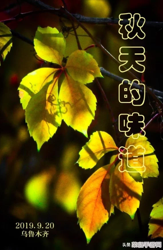 【独家首发】花雨旋律梦幻公测盛大开启，音乐盛宴邀您共赴时间之旅！