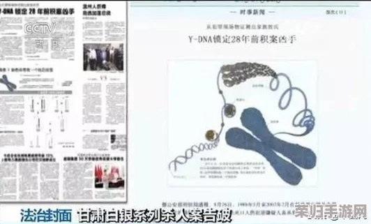 缅北杀人网站：揭开网络黑暗交易背后的真相与社会影响，警惕虚拟世界的危险陷阱
