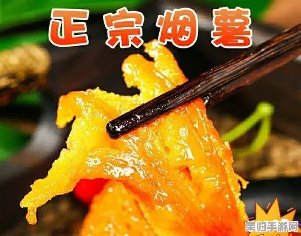 大香煮2024最新版：畅享美味与健康的完美结合，带你领略新潮烹饪风尚