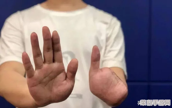 缅北www网站：用户体验良好，内容丰富且更新及时，值得一试的在线平台