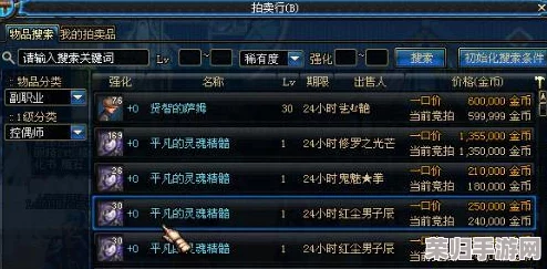 深度指南：如何在DNF拍卖行高效搜索心仪装扮！