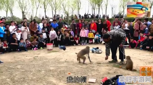 二人生猴子表演视频:欢乐互动与搞笑瞬间,带你领略奇妙的动物才艺秀! 二人生猴子表演视频:欢乐互动与搞笑瞬间,带你领略奇妙的动物才艺秀!