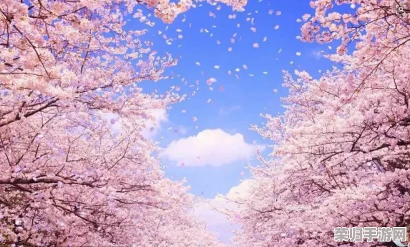 日本xxxx18:感受樱花季节的浪漫与传统文化交融之美 日本xxxx18:感受樱花季节的浪漫与传统文化交融之美