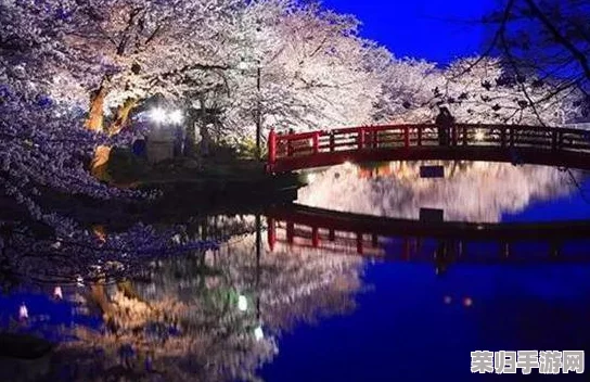 日本xxxx18:感受樱花季节的浪漫与传统文化交融之美 日本xxxx18:感受樱花季节的浪漫与传统文化交融之美