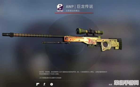 CSGO天价收藏：最昂贵龙狙价格震撼曝光，豪华枪械价值一览无遗！
