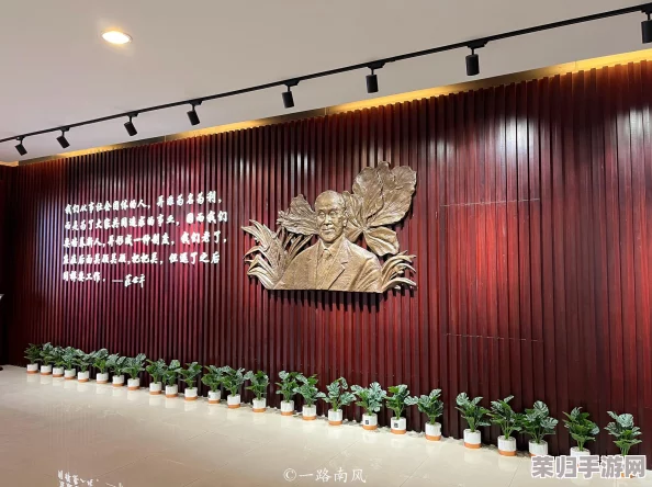 在宿舍想扣怎么办?实用方法分享及注意事项 在宿舍想扣怎么办?实用方法分享及注意事项