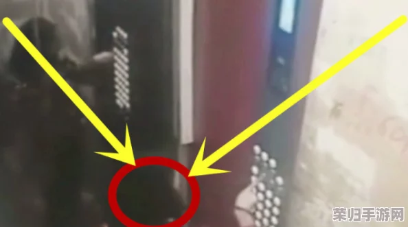 男女电梯活春宫：一场引发热议的社会现象，背后隐藏着怎样的心理与道德考量？