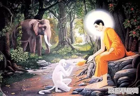 佛目珠为啥只有5个？了解其背后的文化意义与灵性价值，带你走进神秘的佛教世界