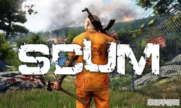 SCUM 0.95全面升级,解锁最新代码大全秘籍! SCUM 0.95全面升级,解锁最新代码大全秘籍!