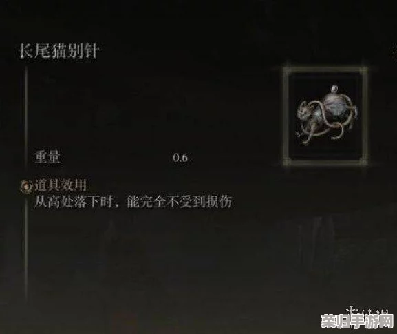 艾尔登法环DLC：全护符收集攻略与获取秘籍