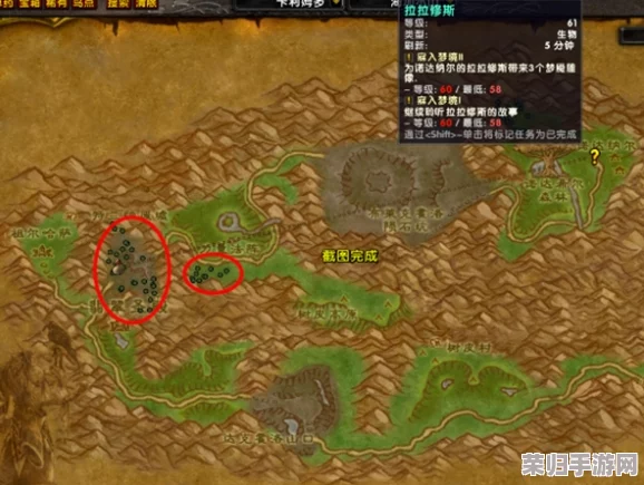 乌龟服翡翠圣殿开门任务全攻略，轻松解锁隐藏秘境！
