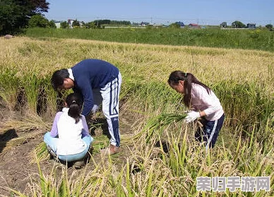 儿子耕种母亲的田地的寓意：传承责任与爱的象征，蕴含深厚家族情感与文化意义