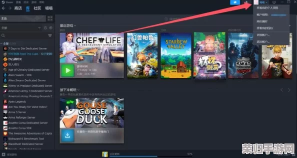 解决Steam账户名称填写难题：为何总是提示错误？