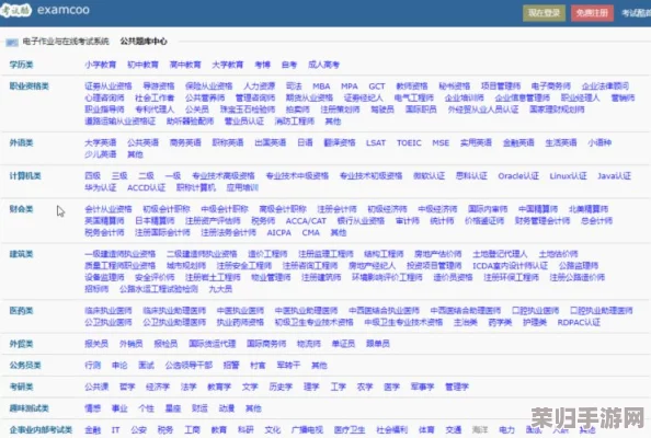十大成品网站大揭秘：一键开启你的网络帝国,让创业梦想瞬间成真!