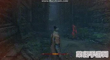 《只狼》双难模式:挑战升级,玩法差异全解析! 《只狼》双难模式:挑战升级,玩法差异全解析!