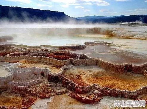 91新视频：精彩纷呈的影视作品，让人流连忘返