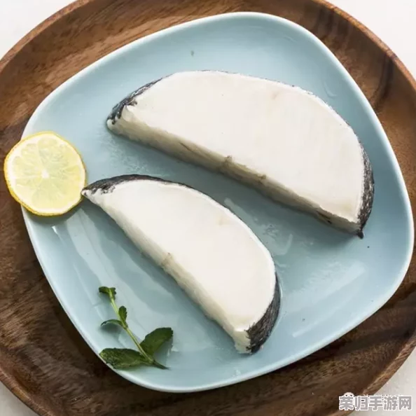 高效获取反鳕鱼蓝图秘诀：一步一步教你如何轻松到手！
