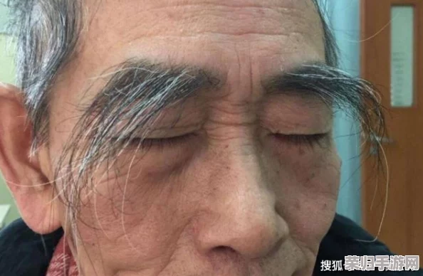 性爱毛耸耸:揭示人们对性体验的不同看法与心理感受,毛发的角色让人耳目一新 性爱毛耸耸:揭示人们对性体验的不同看法与心理感受,毛发的角色让人耳目一新