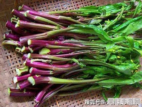 51吃瓜老虎菜98年幼师的出生日期,揭示了她背后的成长故事与教育理念 51吃瓜老虎菜98年幼师的出生日期,揭示了她背后的成长故事与教育理念