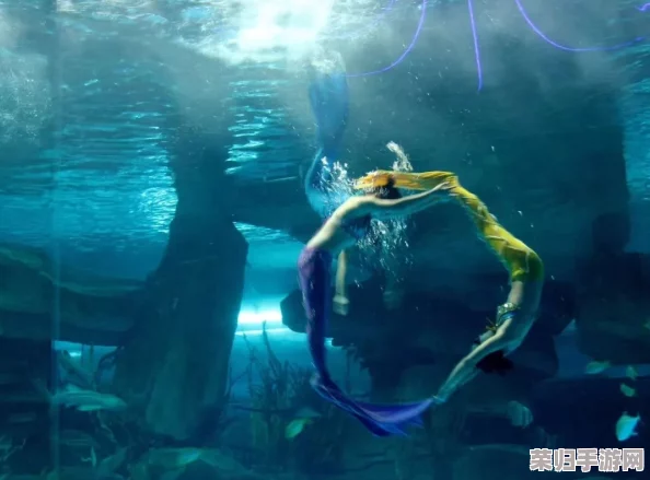 haya和manta:海底世界、神秘生物、探险历程 haya和manta:海底世界、神秘生物、探险历程