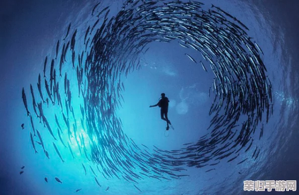 haya和manta:海底世界、神秘生物、探险历程 haya和manta:海底世界、神秘生物、探险历程