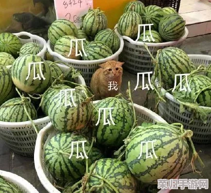 91吃瓜中午最新最火的瓜,用户热评揭晓:与众不同的精彩瞬间让人欲罢不能! 91吃瓜中午最新最火的瓜,用户热评揭晓:与众不同的精彩瞬间让人欲罢不能!