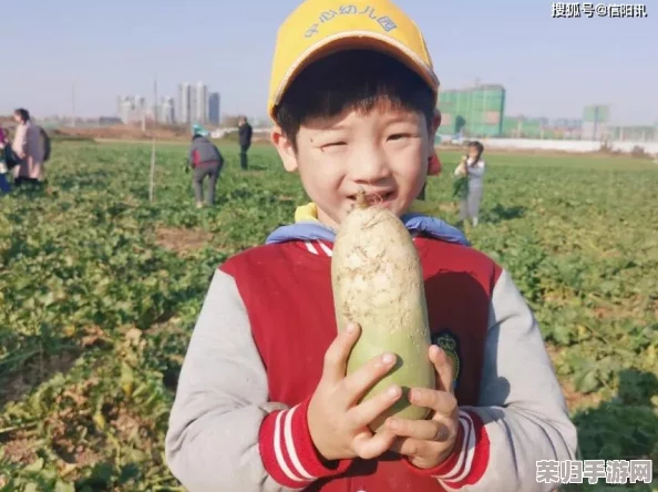 “拔萝卜又疼又叫，让我体会到大自然的趣味与劳作的辛酸”