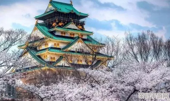 三国志英杰传:织田信长——战国枭雄的辉煌篇章 三国志英杰传:织田信长——战国枭雄的辉煌篇章