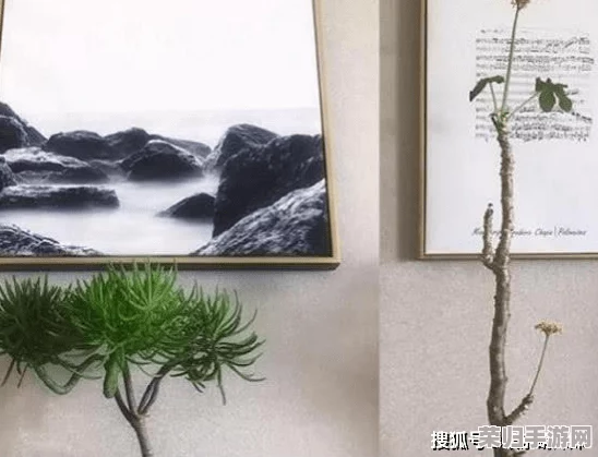 老扒草红法蓉最经典的一句：深刻理解其背后蕴含的情感与哲理之美