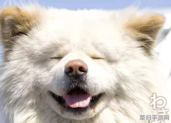 老周陈琳公交车：一段令人感动的乡村义务接送故事
