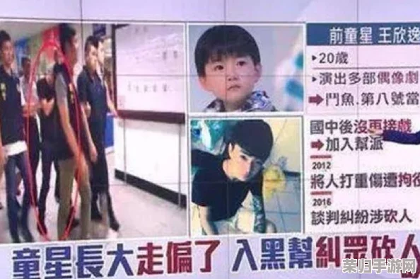 三浦恵理子被义子三进三出，背后真相引发网友热议，家庭关系再度成为焦点话题