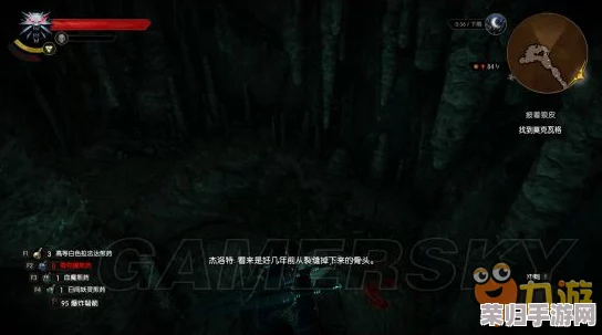 深度《巫师3》：如何完美完成'披着狼皮'任务攻略指南