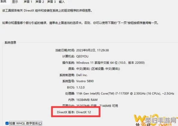 解决CS2报错DX11问题，快速恢复流畅游戏体验攻略！