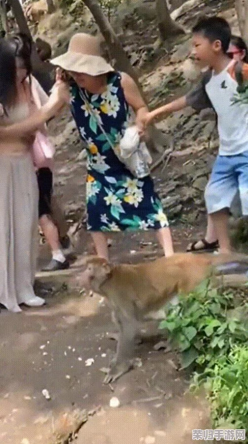 两人生猴子不盖被子，网友：这是什么神仙操作？