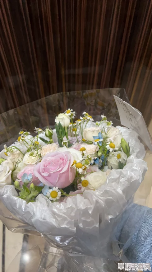 老公生日3q花落归途：网友纷纷评论，甜蜜背后的感动与心酸交织，感情真挚值得深思！