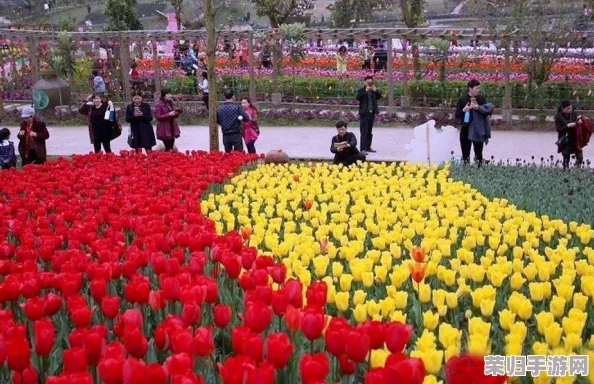 www.fenfencao - 草莓香甜诱人，芬芳四溢的游戏世界等你来探索