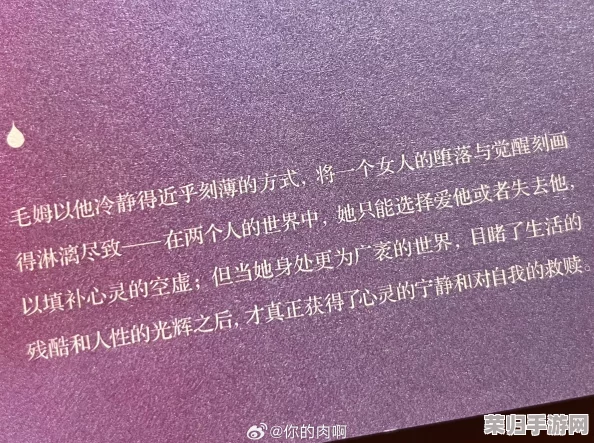 雷电将军的释怀网站：理解他内心深处的痛楚和挣扎，带来真正的宽慰和安慰