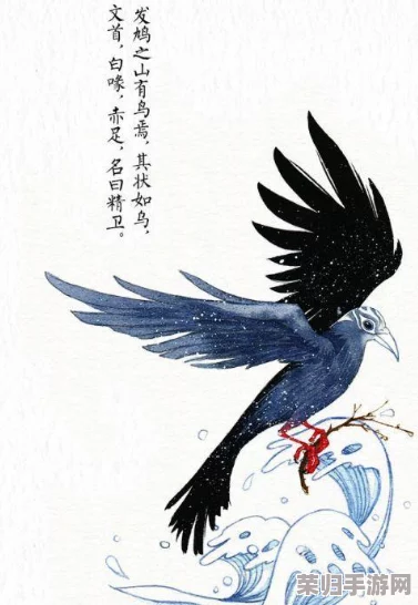 黄台精卫：传说中的神鸟，历史上真实存在的生物？
