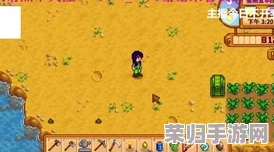 掌握星露谷物语蟹笼秘诀：高效捕捞海洋宝藏的实用指南