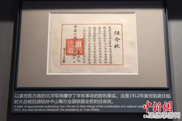 红桃视颏隐藏代码：解析其背后的深层含义与潜在信息，揭示其中的秘密与价值所在