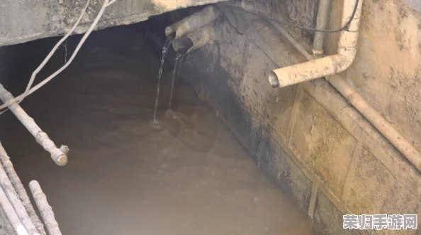 “钢钢钢钢钠好多水污”引发用户热议，深入探讨水污染影响与潜在解决方案