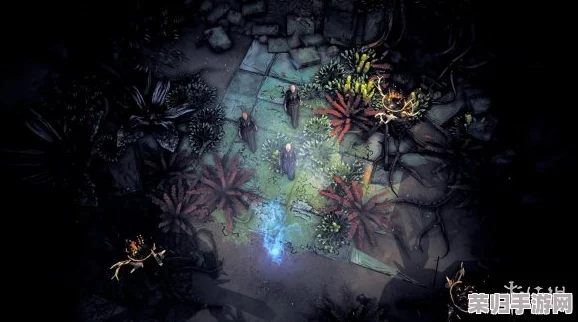 探索幽冥之王的奇幻冒险：揭秘这款独特RPG游戏的核心魅力