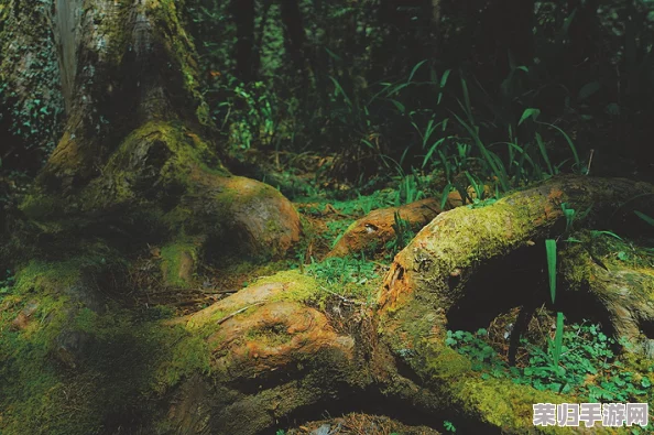 《林间秘境：打造梦幻小世界的地形编辑技巧与灵感集》全面指南