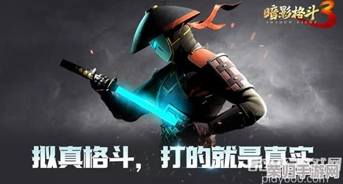 独家揭秘！2024最新暗影格斗3促销码领取指南，限时优惠不容错过！