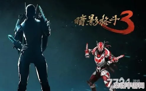 独家揭秘！2024最新暗影格斗3促销码领取指南，限时优惠不容错过！