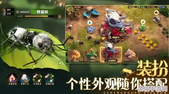 《小小蚁国》游戏内兑换码获取攻略：解锁最新福利，一网打尽全系列专属兑换码集合！